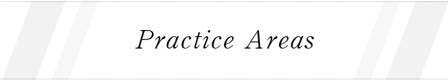 Practice Area 業務内容