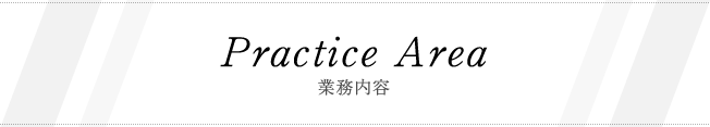 Practice Area 業務内容